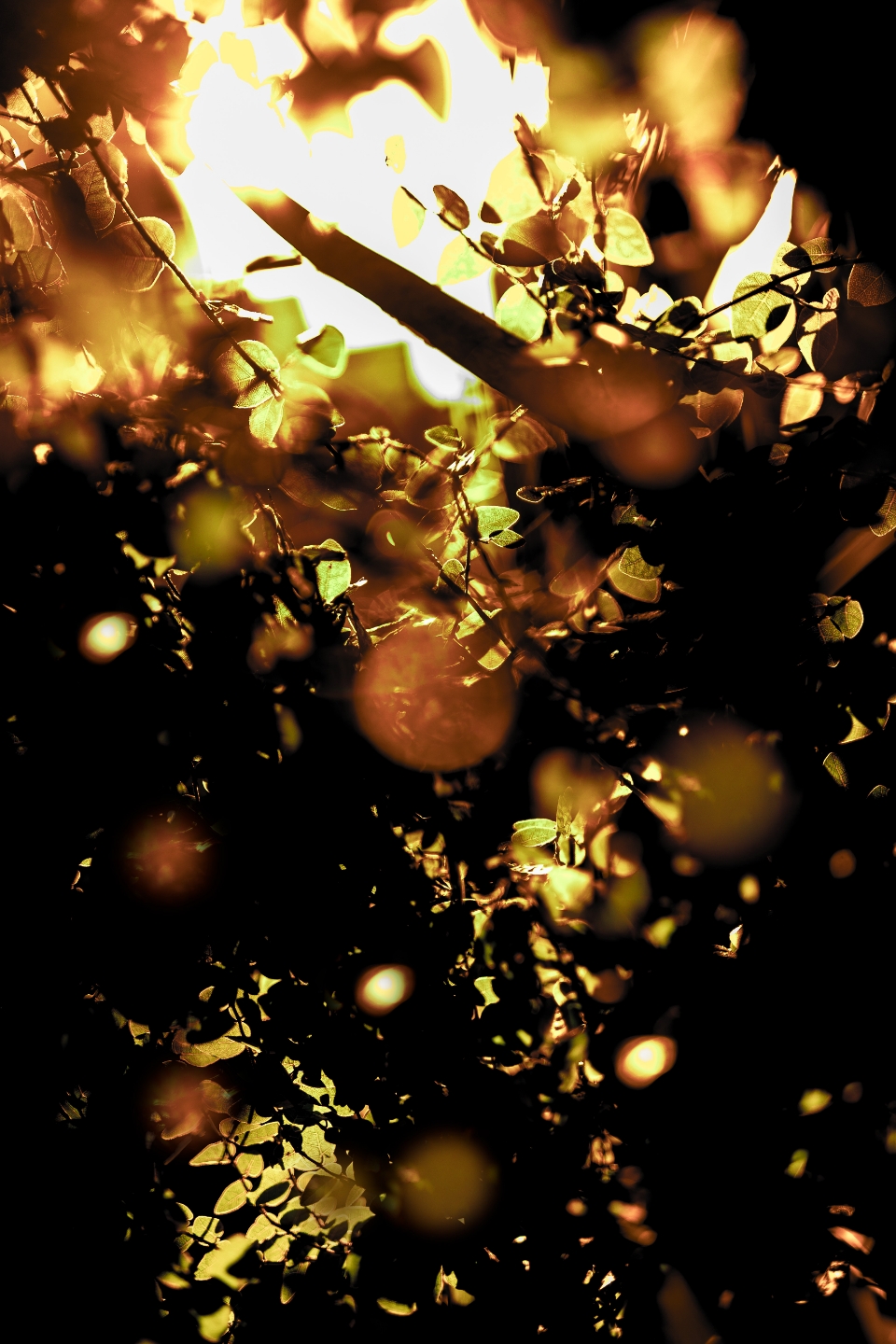 DESIGN THEME DAY & NIGHT_IMG2