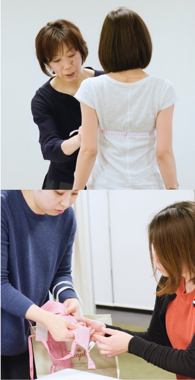Fitting Report
