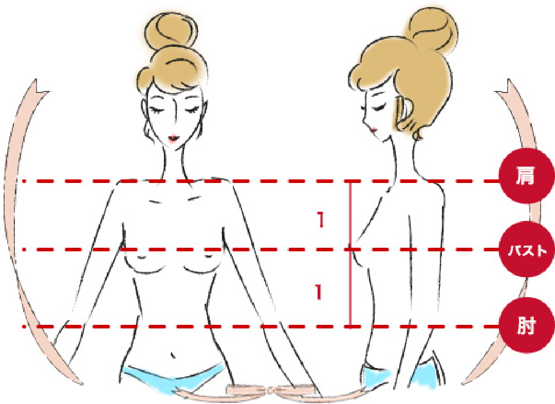 理想的なバストの位置