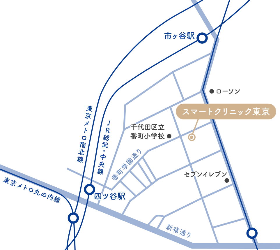 pc_access_map_pic